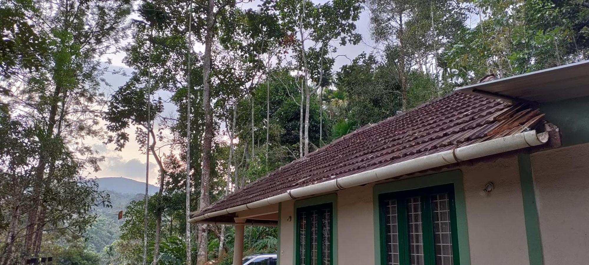 Coffee Camp Home Stay With Tree House Kattappana Экстерьер фото