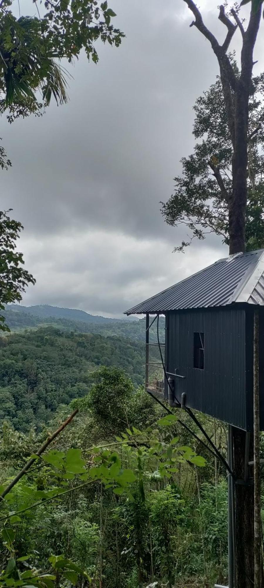 Coffee Camp Home Stay With Tree House Kattappana Экстерьер фото
